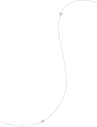 河南狗博仕寵物醫(yī)院有限公司